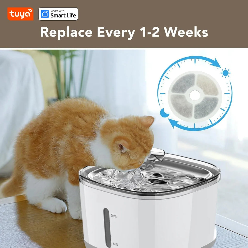 Cat Water Fountain — Whisper-Quiet Fresh Flowing Water