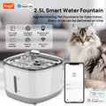 Cat Water Fountain — Whisper-Quiet Fresh Flowing Water