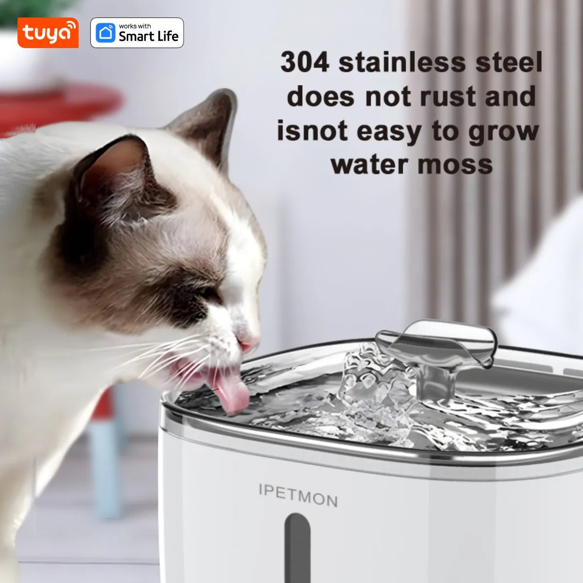 Cat Water Fountain — Whisper-Quiet Fresh Flowing Water