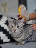 Cat being groomed with a deshedding brush full of loose fur