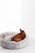 Small dog sleeping in a fluffy grey calming donut bed