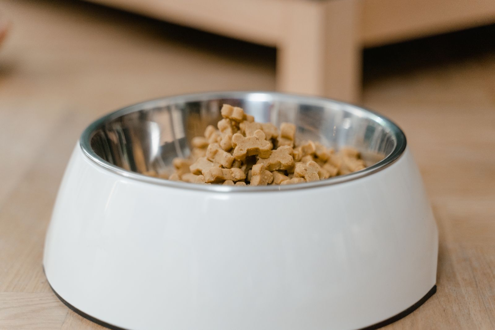 Stainless steel pet bowl in a white raised melamine stand