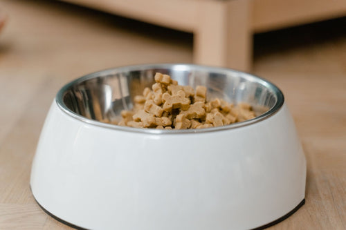 Stainless steel pet bowl in a white raised melamine stand